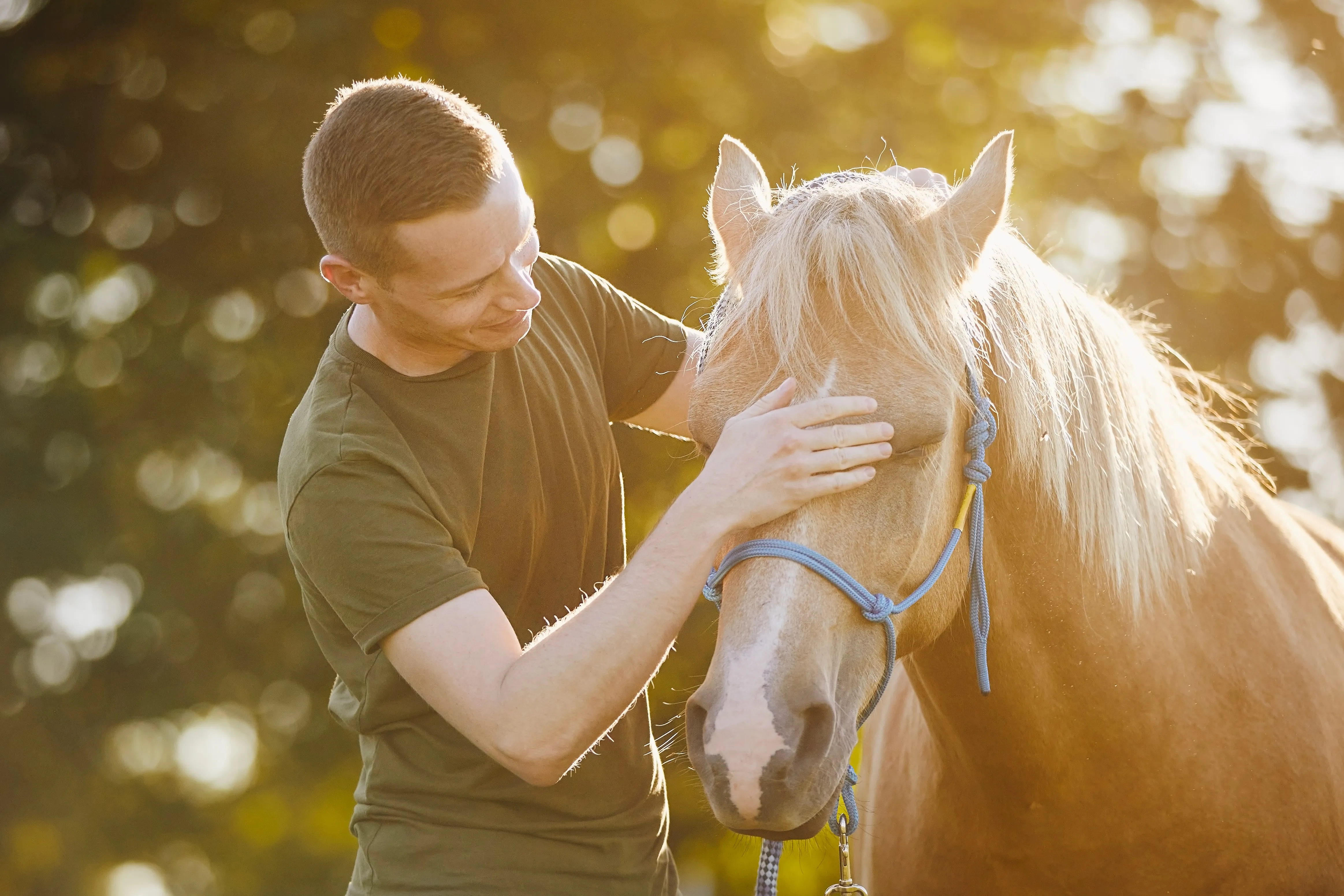 Man petting a horse
